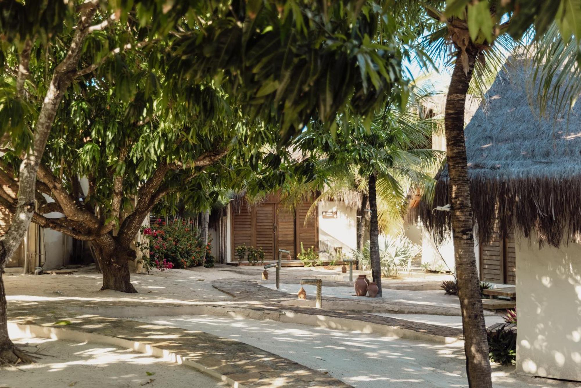 La Cozinha Bungalow バーハ・グランデ エクステリア 写真